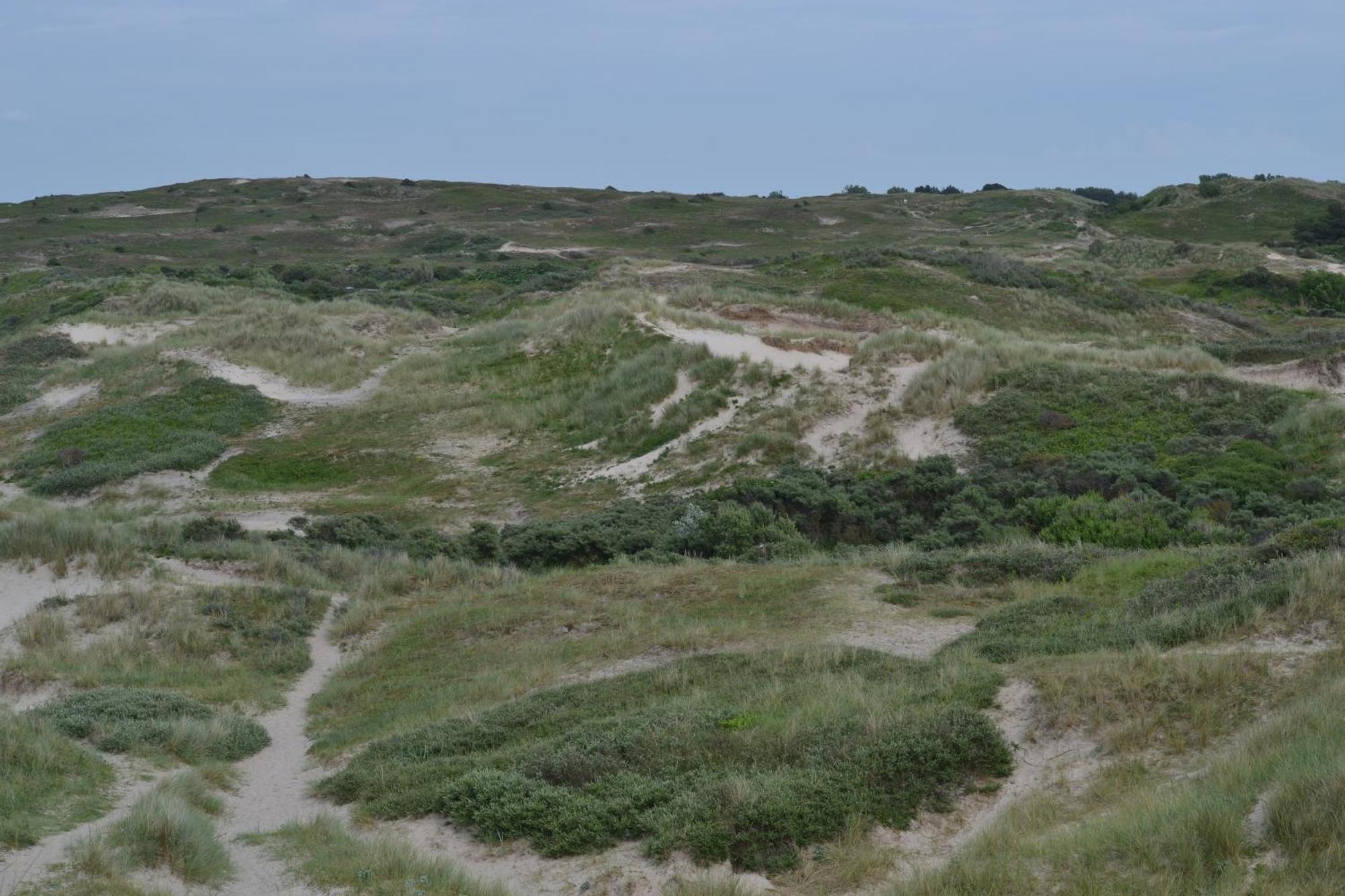 Gluecklich Am Meer Apartment Deluxe Mit Wellnesszugang Egmond aan Zee Zewnętrze zdjęcie