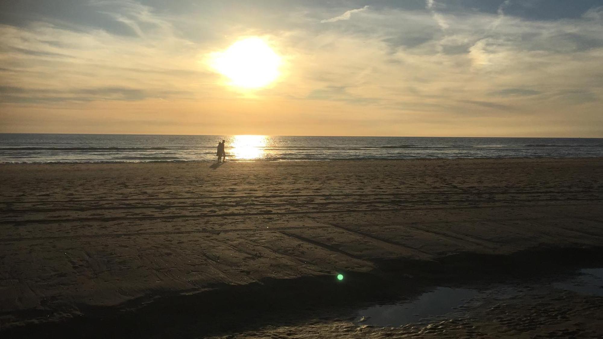 Gluecklich Am Meer Apartment Deluxe Mit Wellnesszugang Egmond aan Zee Zewnętrze zdjęcie